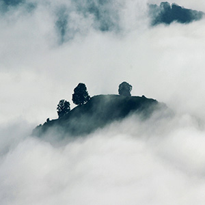 post-image